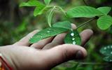 gauravfkumar-water-4542012_640