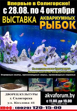Выставка аквариумных рыбок «Аквафорум»