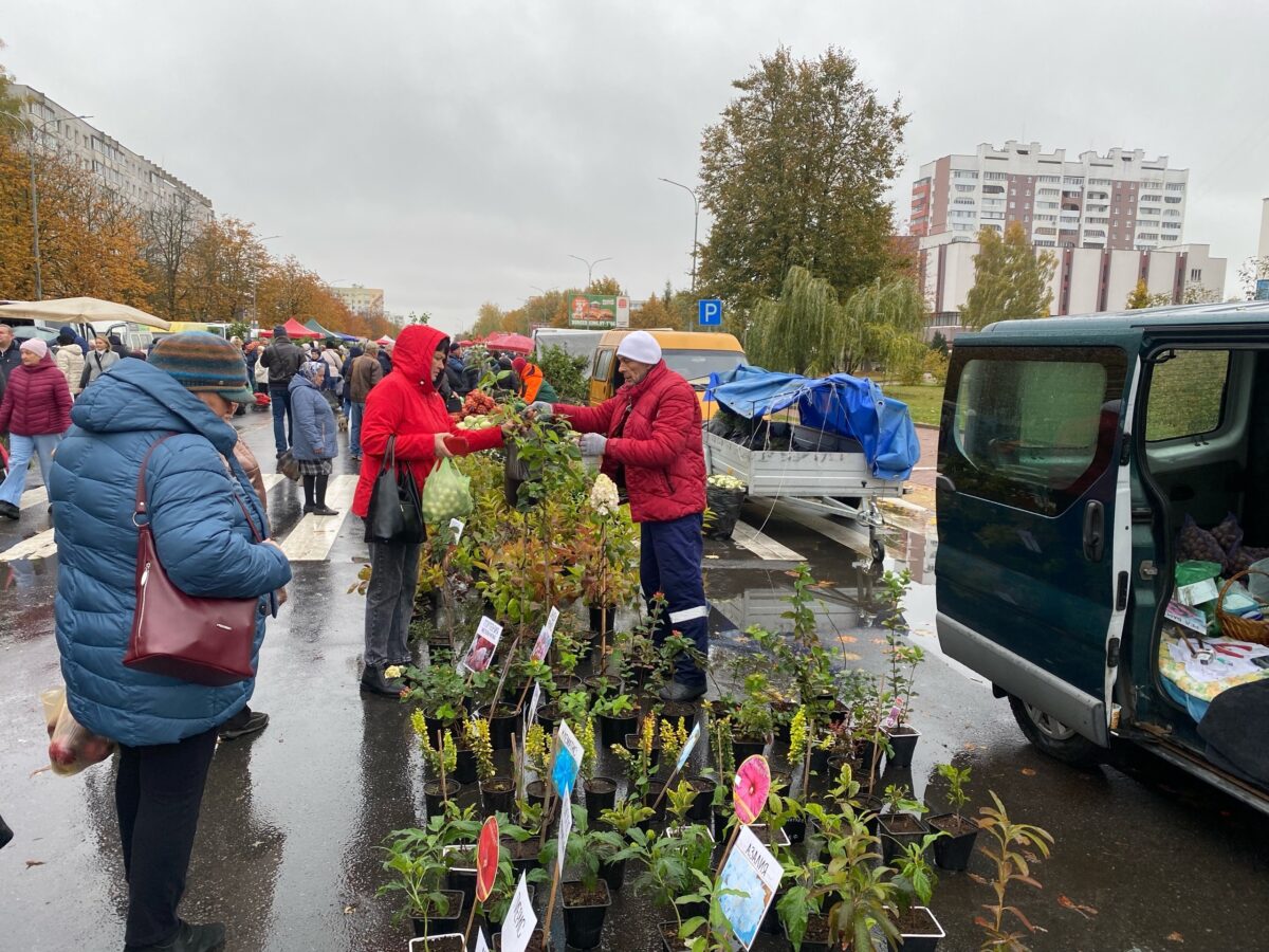 Осенняя региональная ярмарка прошла в Солигорске — ГУ 