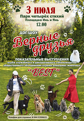 Хвостатые звёзды в Парке четырёх стихий!