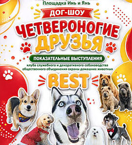 Все на ДОГ-ШОУ! 🐾